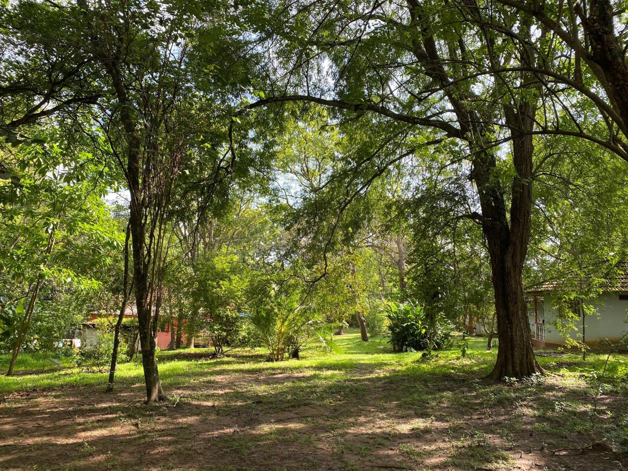 Calm Garden Cabanas แทนกาลเล ภายนอก รูปภาพ