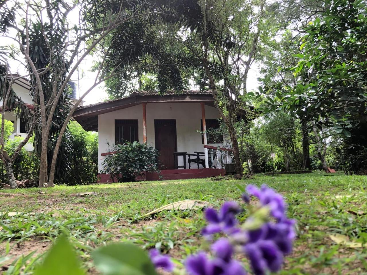 Calm Garden Cabanas แทนกาลเล ภายนอก รูปภาพ