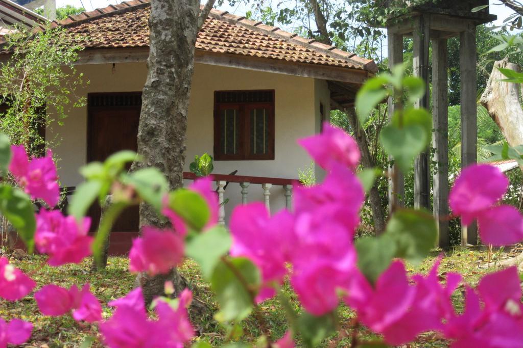 Calm Garden Cabanas แทนกาลเล ภายนอก รูปภาพ