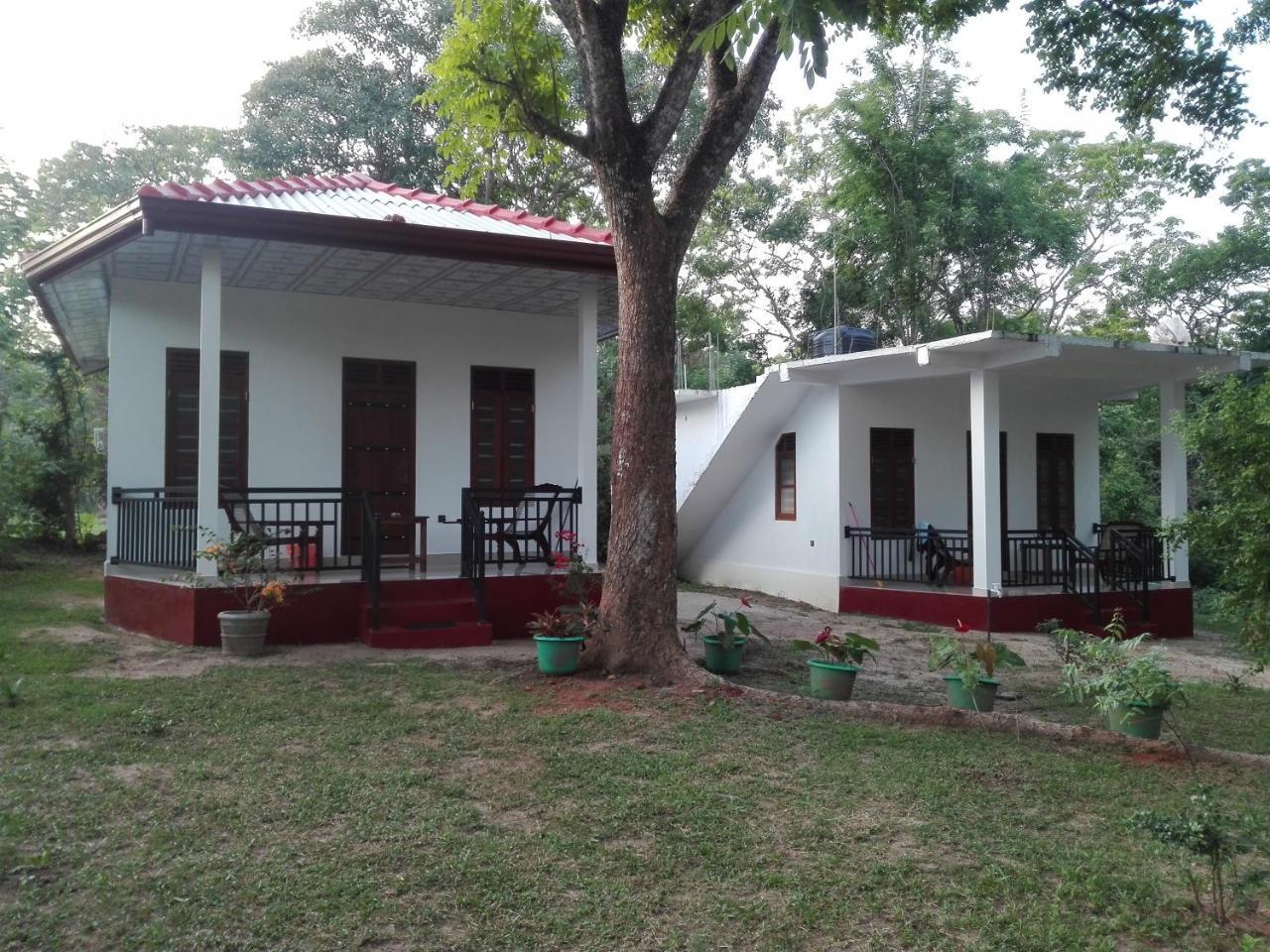 Calm Garden Cabanas แทนกาลเล ภายนอก รูปภาพ